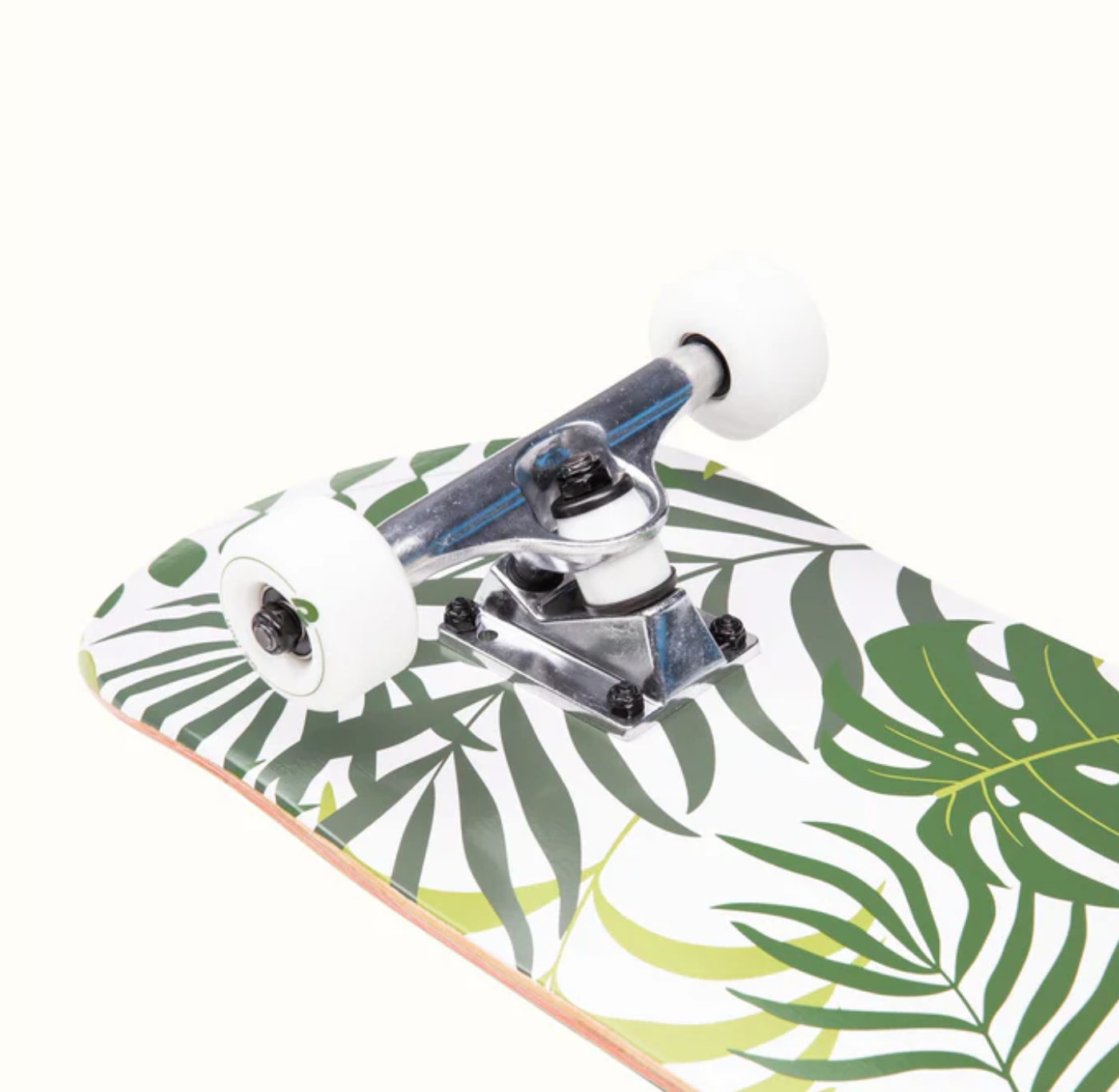 Classic Skateboard Rental