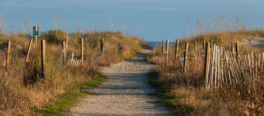 Best Beach Access Paths in Isle of Palms