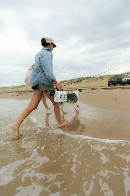 TURTLEBOX CUB I COMPACT OUTDOOR PORTABLE SPEAKER