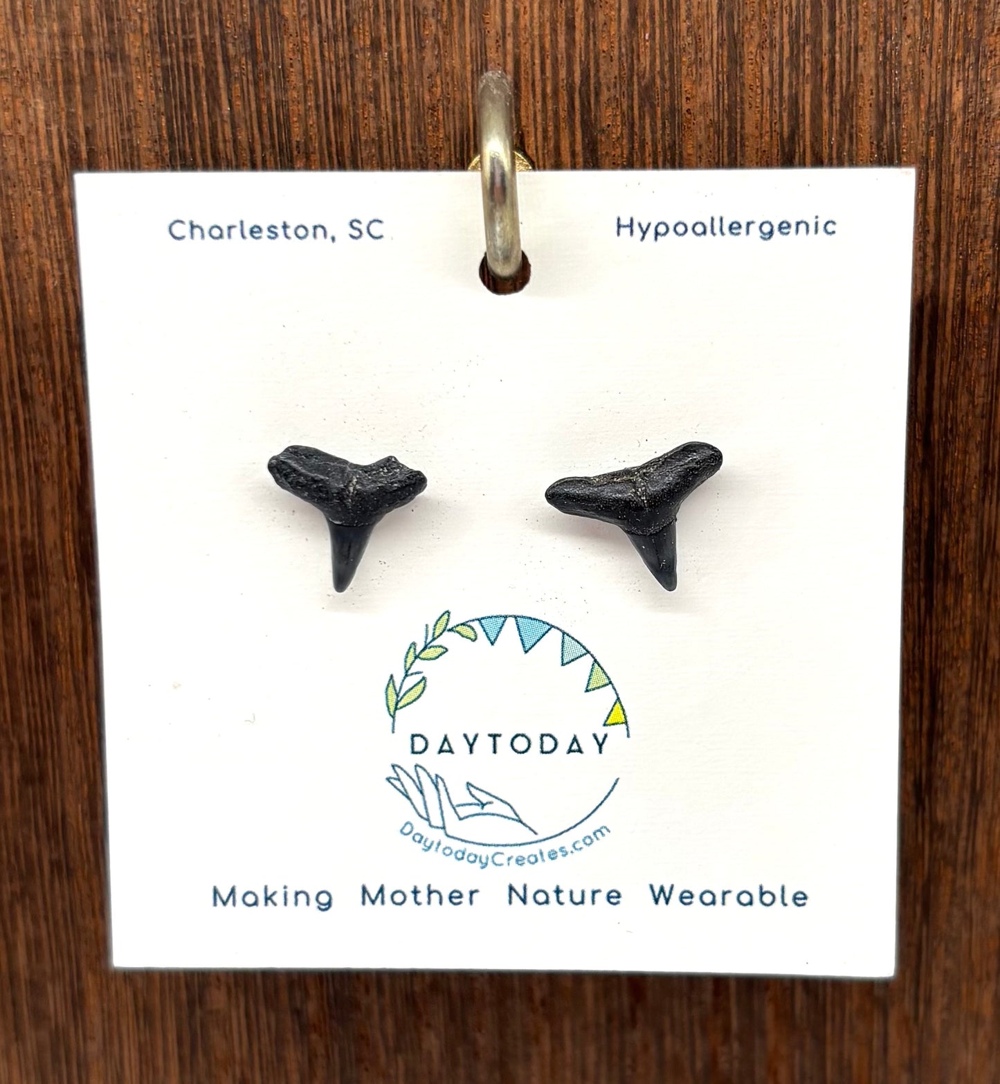 DAYTODAY #17 Wearable Mother Nature Shark Teeth Earrings/Jewelry