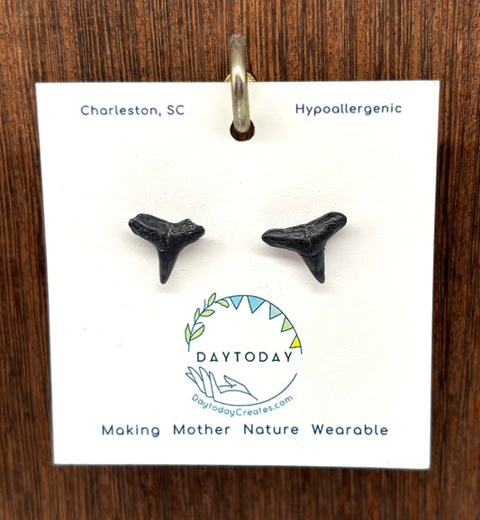 DAYTODAY #17 Wearable Mother Nature Shark Teeth Earrings/Jewelry