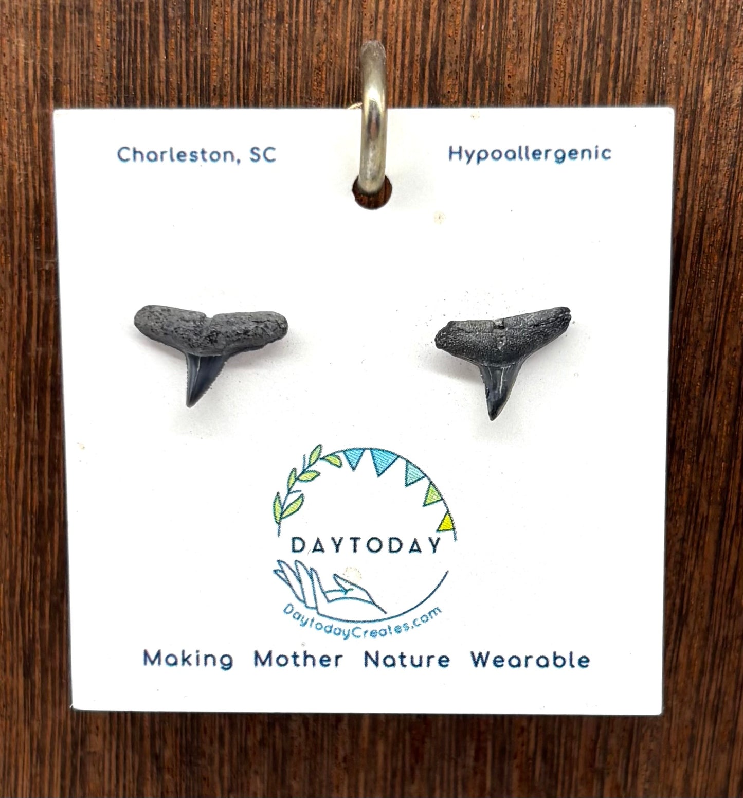DAYTODAY #18 Wearable Mother Nature Shark Teeth Earrings/Jewelry