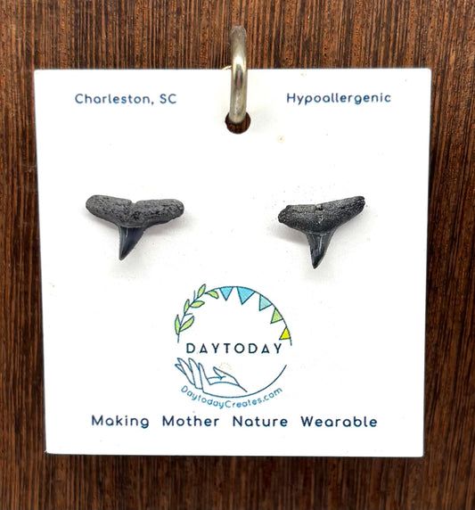 DAYTODAY #18 Wearable Mother Nature Shark Teeth Earrings/Jewelry