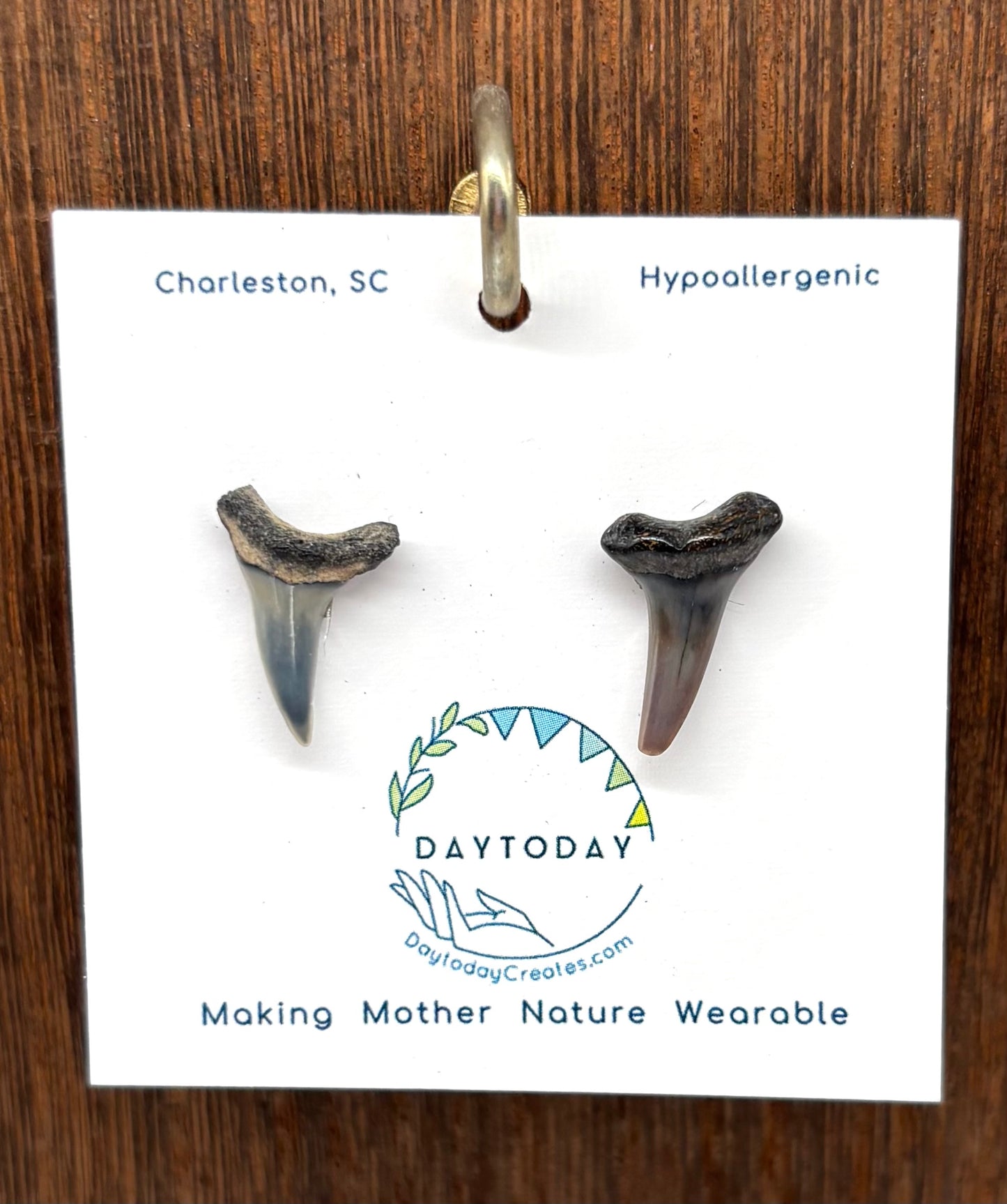 DAYTODAY #19 Wearable Mother Nature Shark Teeth Earrings/Jewelry