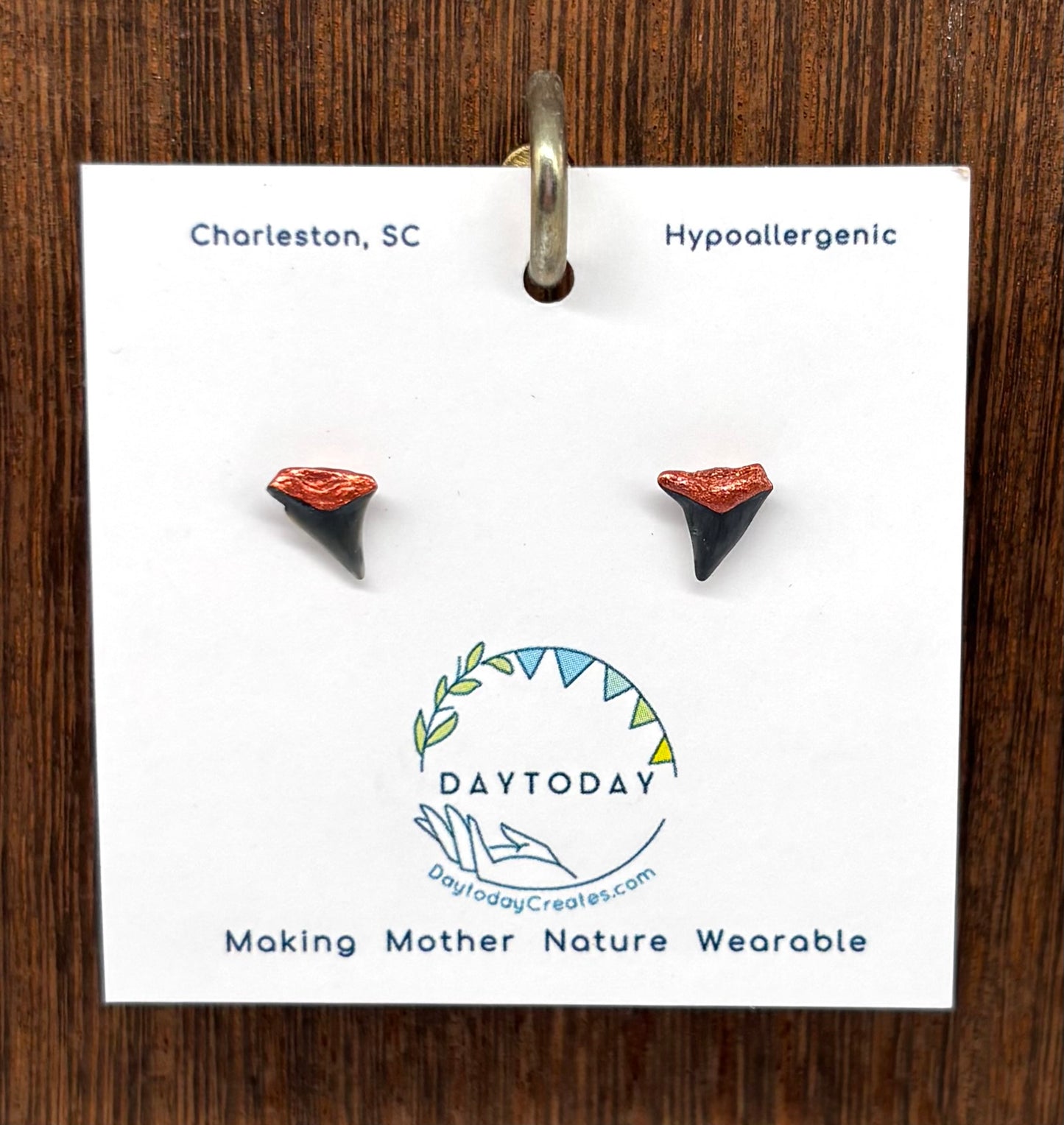 DAYTODAY #29 Wearable Mother Nature Shark Teeth Earrings/Jewelry