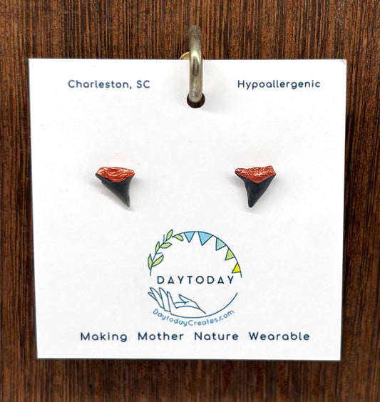 DAYTODAY #29 Wearable Mother Nature Shark Teeth Earrings/Jewelry