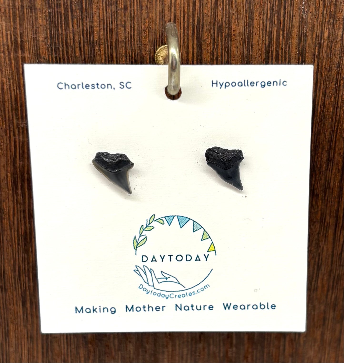 DAYTODAY #31 Wearable Mother Nature Shark Teeth Earrings/Jewelry