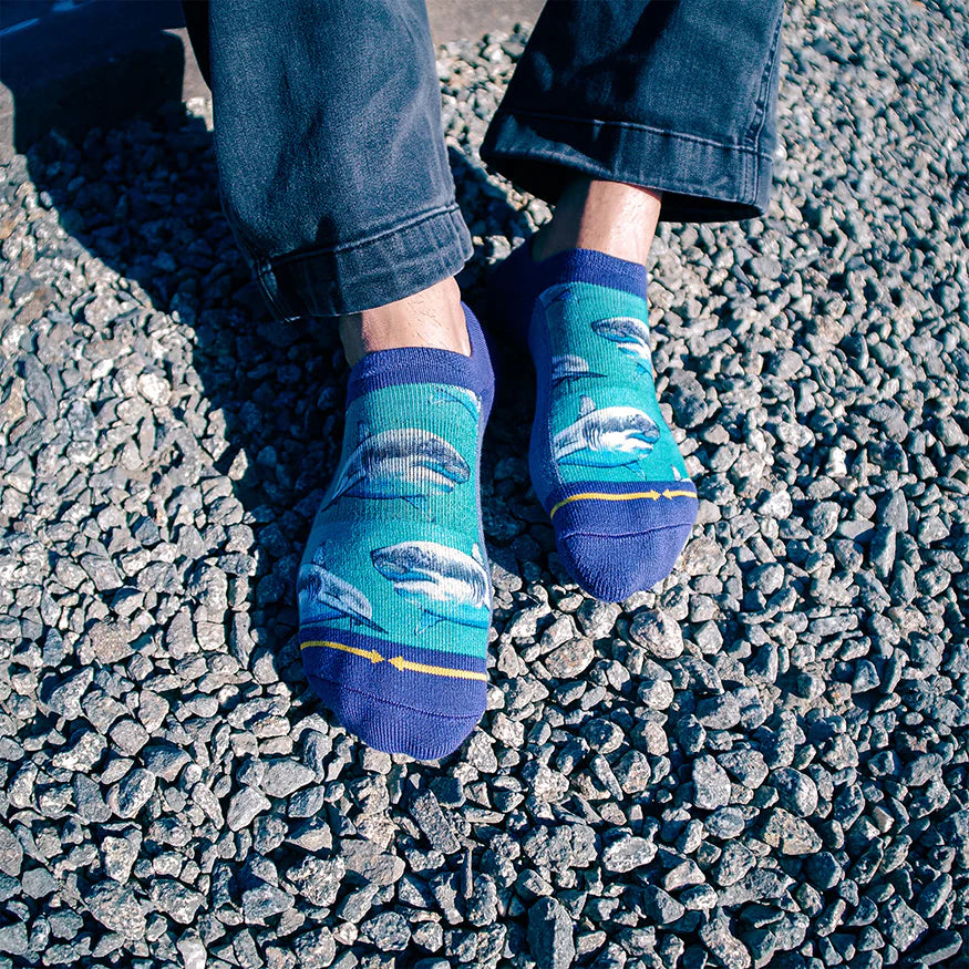 MERGE4 GREAT WHITE SHARKS NO SHOW SOCKS WITH ART BY TAYLOR REINHOLD - ADULT