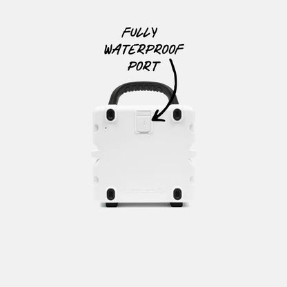 TURTLEBOX CUB I COMPACT OUTDOOR PORTABLE SPEAKER