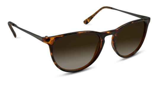 Nectar Shockoe - Tortoise Frame - Gradient Amber Lens