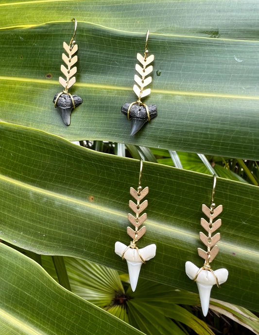 Bella Mack Shark Tooth Earrings