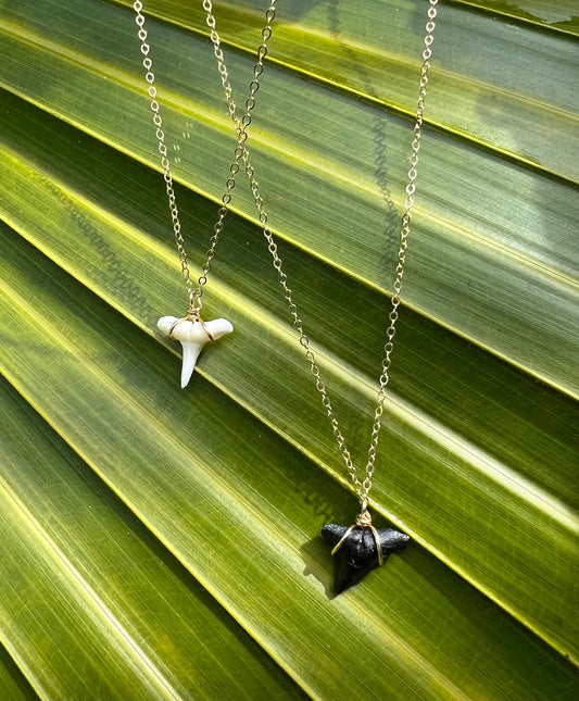 Bella Mack Shark Tooth Necklace